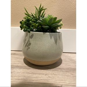 Fake Succulent Pot